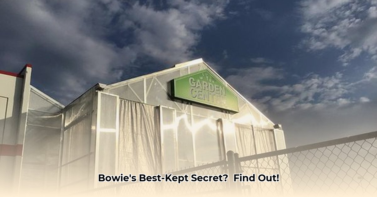 tractor-supply-bowie